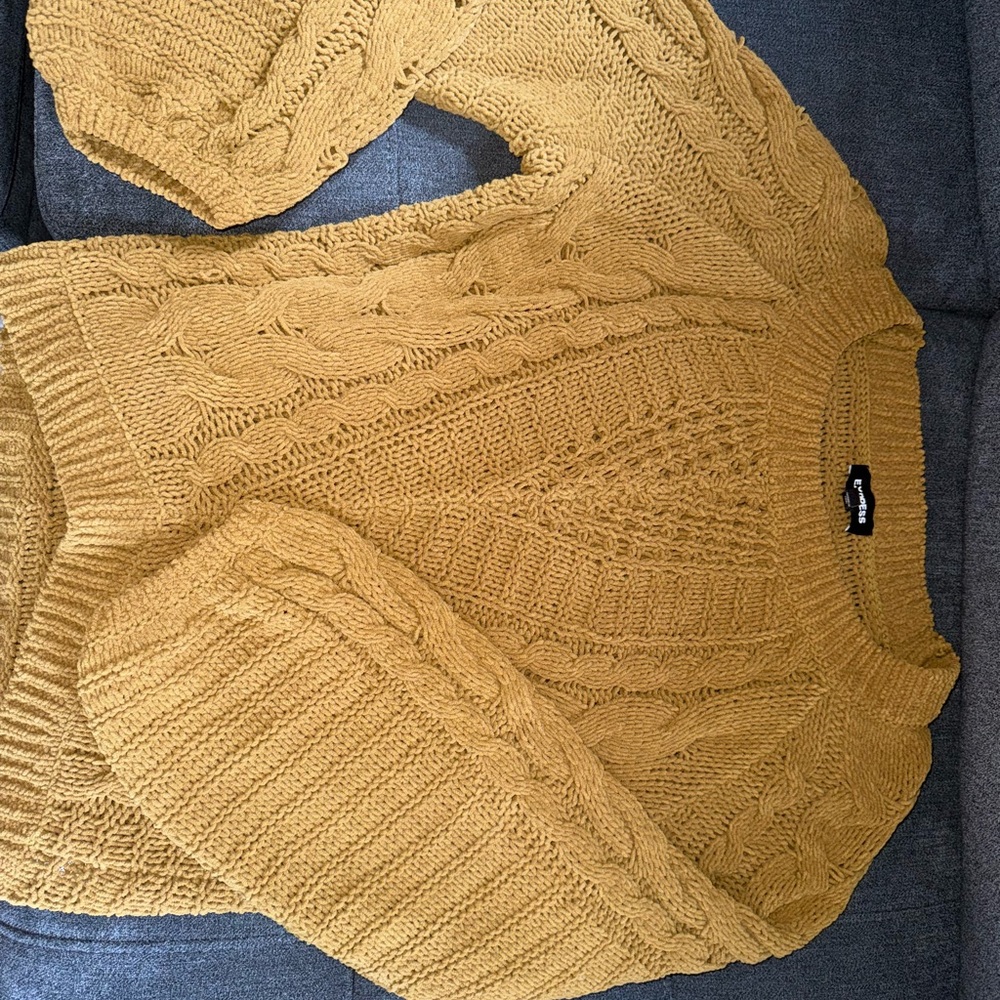 Express - Chunky Knit Mustard Sweater